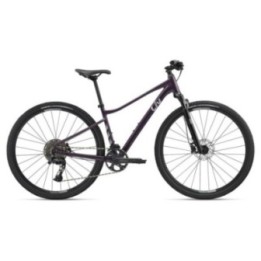 Rove 1 Tyrian Purple