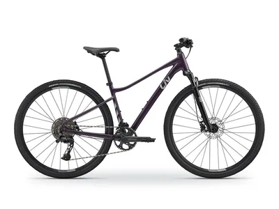 Rove 1 Tyrian Purple