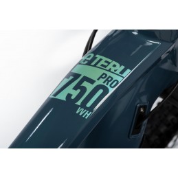 GHOST E-Teru Pro 29 B750 Metallic Green/Light Pearl Mint Gloss - M