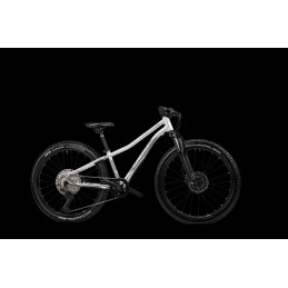 GHOST Kato 24 Full Party Silver/Dark Silver Gloss