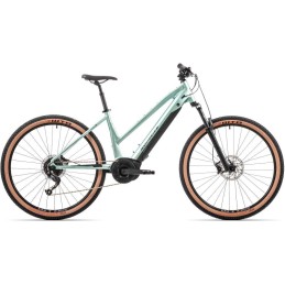 Torrent e50-29 B Easy Entry/Gloss Olive/Black/29x15.5" (S)