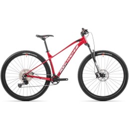 Torrent 70-29/Gloss Red/White/Black/29x19.0" (L)