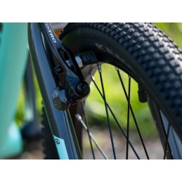 AUTHOR Limit 24 2025 šedá/limeta/zelená AUTHOR Limit 24 2025 šedá/limeta/zelená