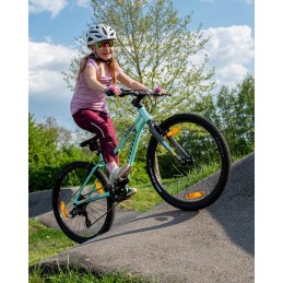 AUTHOR Limit 24 2025 zelená/stříbrná/žlutá AUTHOR Limit 24 2025 zelená/stříbrná/žlutá