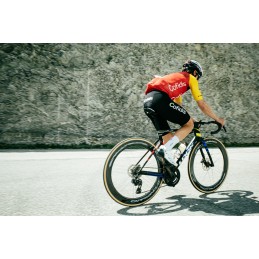 LOOK 795 Blade 2 RS Super Record 13 WRL Iconic Radial - L LOOK 795 Blade 2 RS Super Record 13 WRL Iconic Radial - L