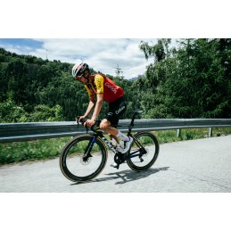 LOOK 795 Blade 2 RS Super Record 13 WRL Iconic Radial - L LOOK 795 Blade 2 RS Super Record 13 WRL Iconic Radial - L