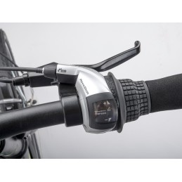 AUTHOR Simplex zelená