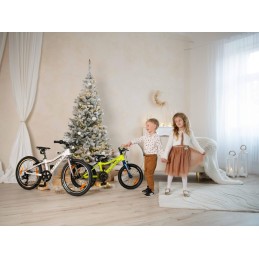 AUTHOR Record 16 2025 šedá/zelená