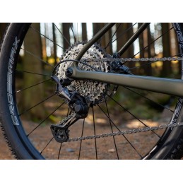 AUTHOR Sector 2026 zelenozlatá-matná/černá