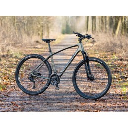 AUTHOR Synergy 2026 zelenozlatá-matná/černá