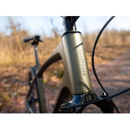 AUTHOR Synergy 2026 zelenozlatá-matná/černá