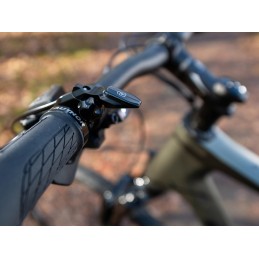 AUTHOR Synergy 2026 zelenozlatá-matná/černá