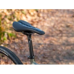 AUTHOR Synergy 2026 zelenozlatá-matná/černá