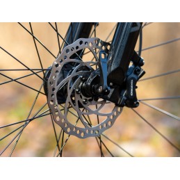 AUTHOR Synergy 2026 zelenozlatá-matná/černá